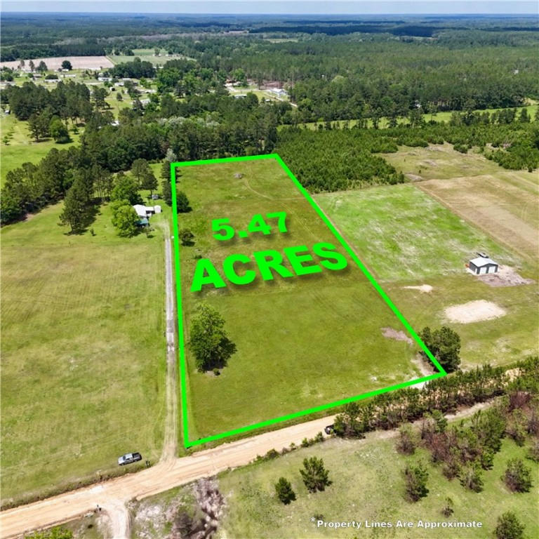 0 NURSERY ROAD ROAD, BLACKSHEAR, GA 31516, photo 1