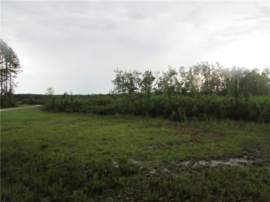 LOT 29 GREY HAWK ROAD, OTHER, GA 31552 - Image 1